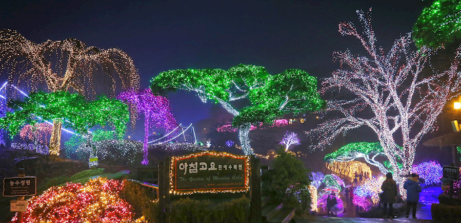 Khung cảnh tuyệt đẹp tại Lễ hội ánh sáng Garden of Morning Calm