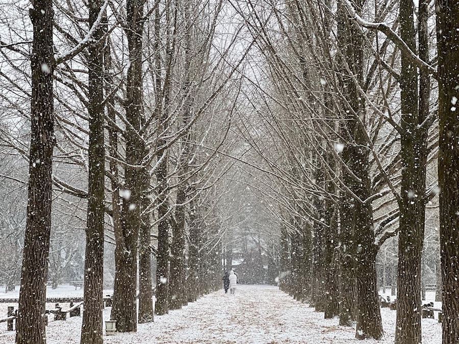 Đảo Nami vào mùa đông